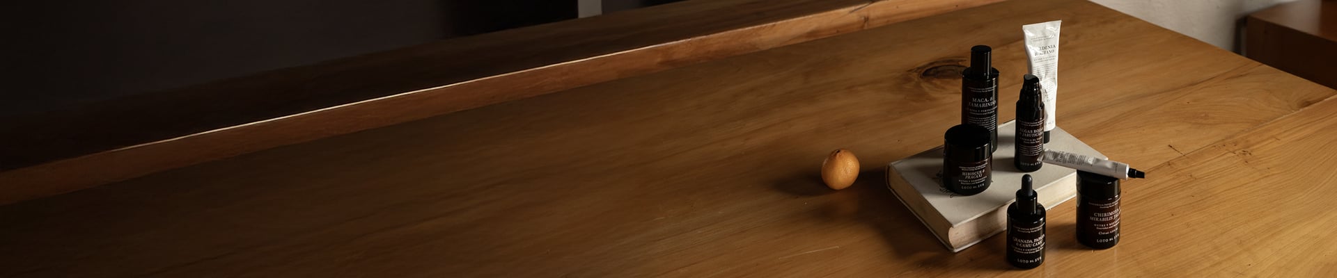 LOS FAVORITOS header.png